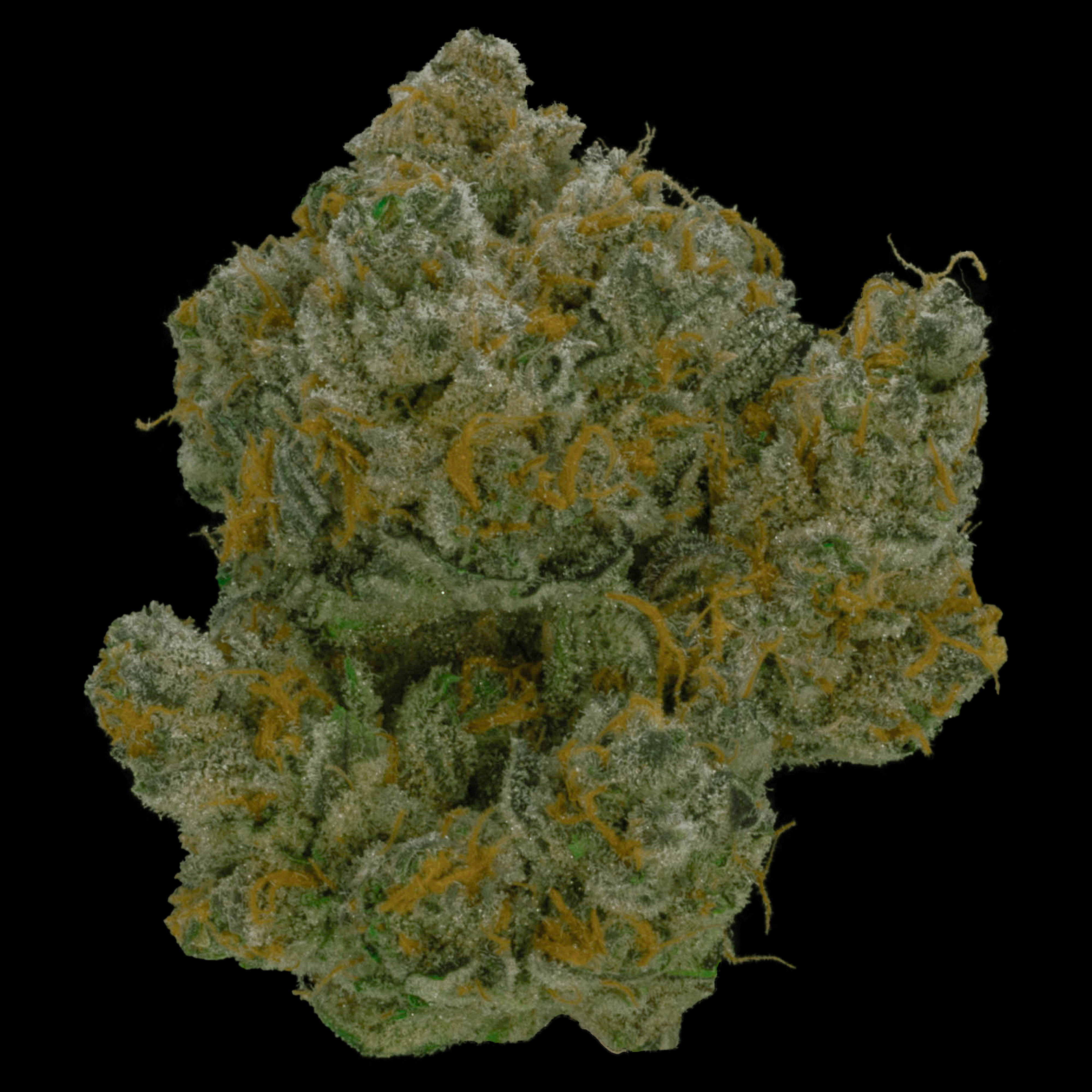 Flower Zkittlez Kush