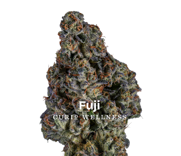 CURIO Fuji 14g