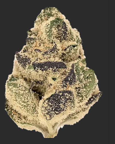 Blue Lobster (I) 5pk 2.5g