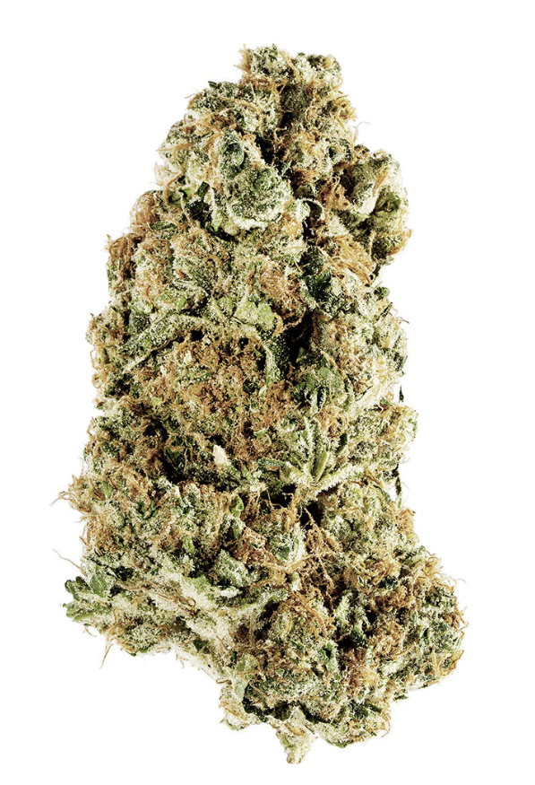 Animal Rntz (Animal CKS x Rntz) | 3.5g