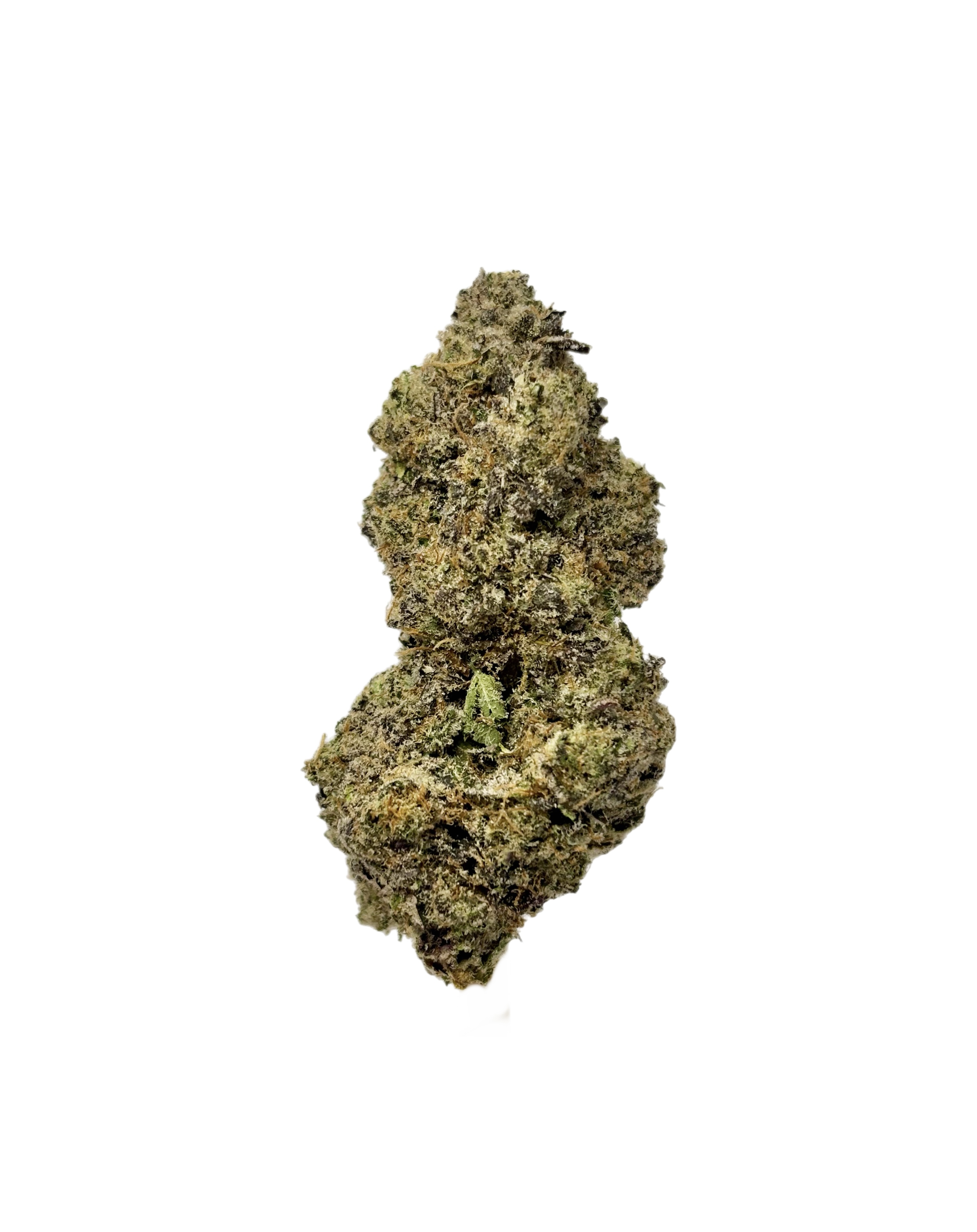 The Clinic | Blueberry Bang Bang | Bulk Flower | Purple Tier