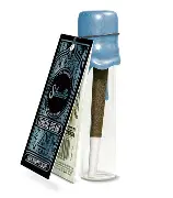 Coastal Cream - 1G Infused Preroll