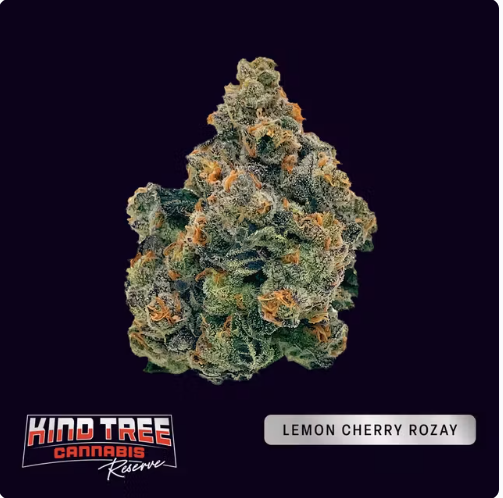Kind Tree Reserve - Lemon Cherry Rozay  - Bud