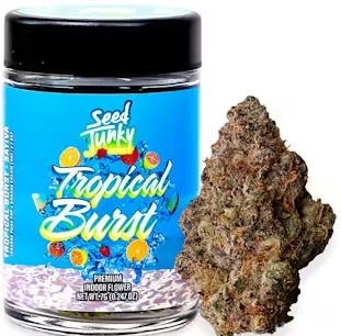 Tropical Burst [S] - Flower