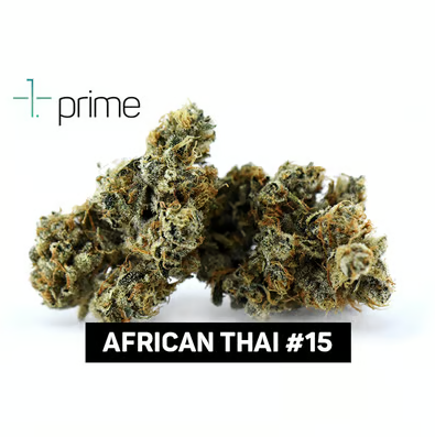 African Thai #15