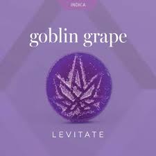 LEVITATE | GOBLIN GRAPE | INDICA | GUMMIES | 200MG | REC