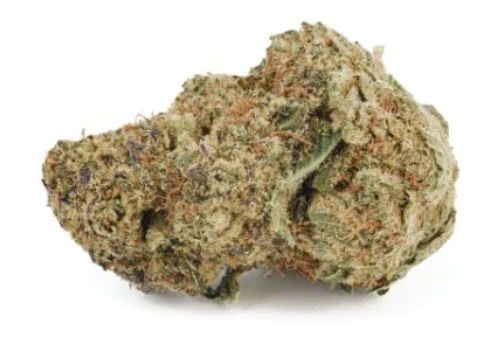 Sweet Notes Sundae Driver Flower - 3.5g in Nanaimo