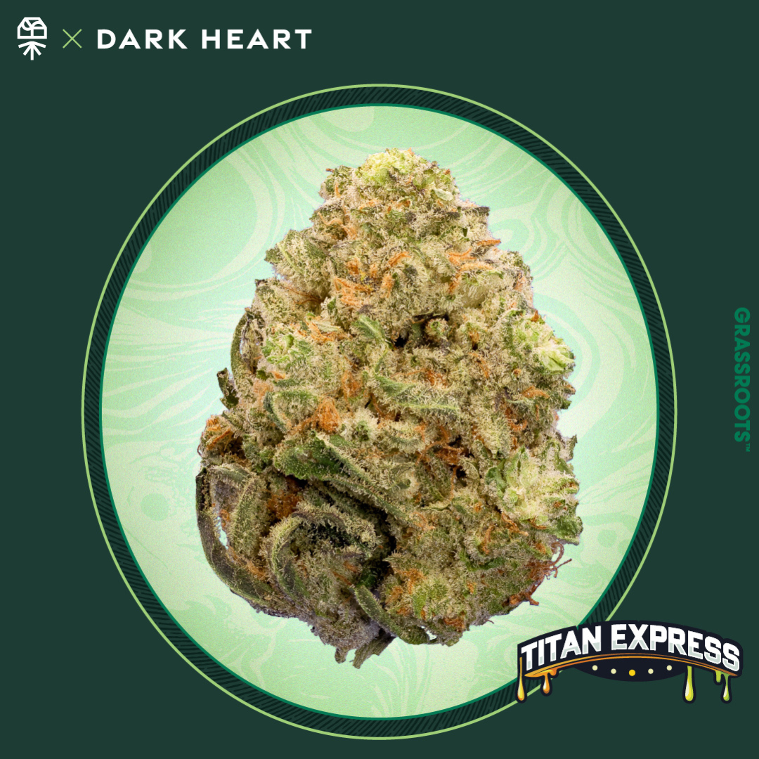 Grassroots Dark Heart: Titan Express: