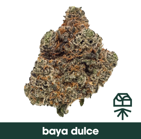 GRASSROOTS Baya Dulce Small Buds 3.5g