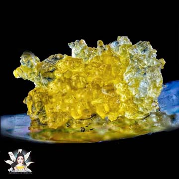 Gloss Boss Live Sugar - KM
