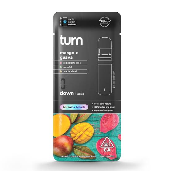 Turn | Mango x Guava | AIO | 1g (I)