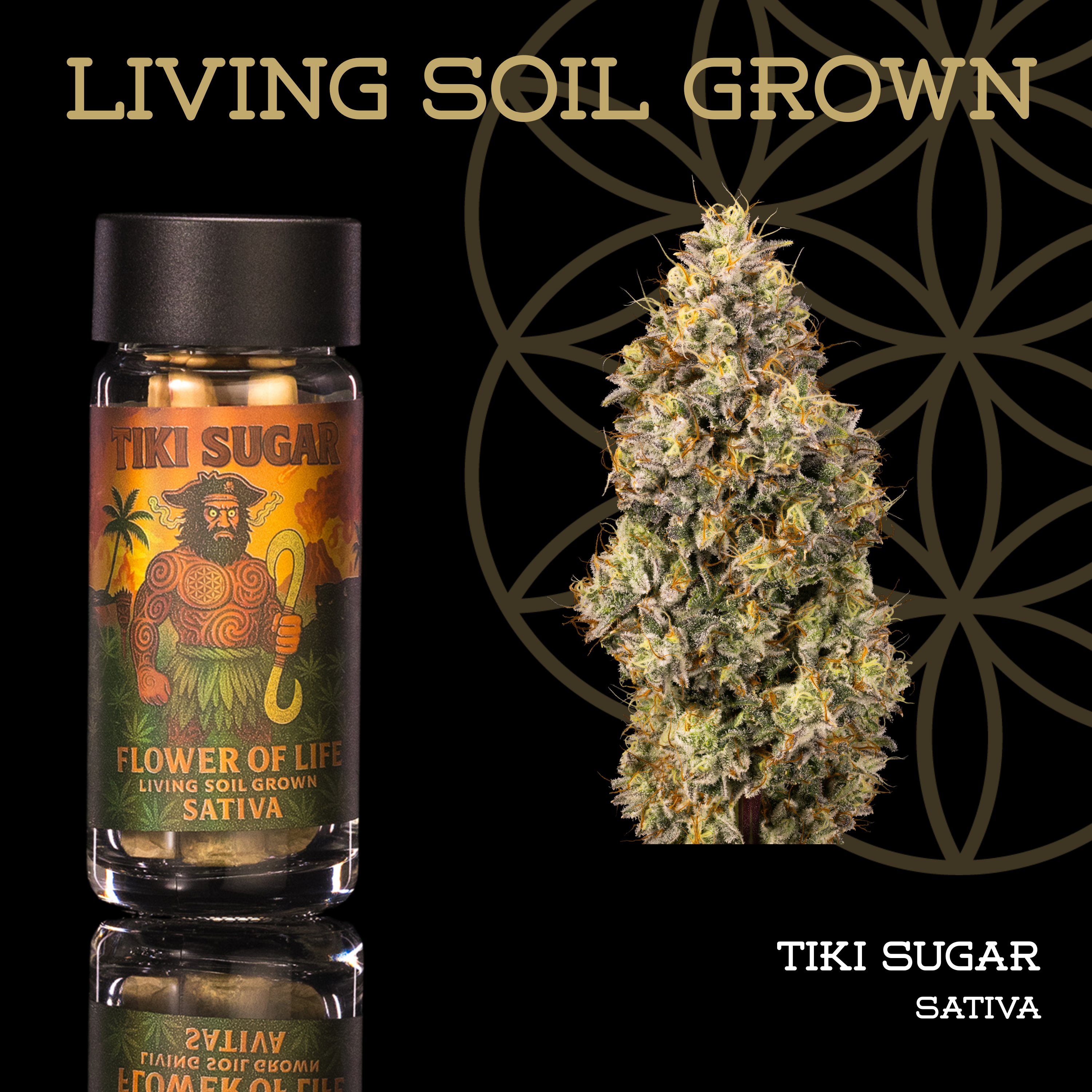 Tiki Sugar | Pre-Roll 5-Pack | 2.5g | Living Soil