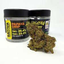 Hashtag Honey | Papaya Drip | 3.5g