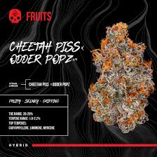 BOSKY Flower Cheetah Piss x Odder Popz #19