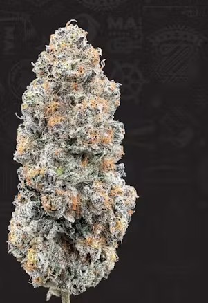 Sherbert Honey - Tops - 1/8oz in Mansfield