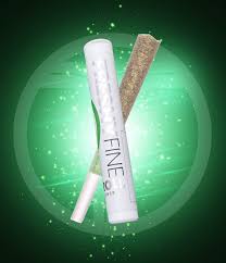 Freshy Fine Motorbreath Pre Roll
