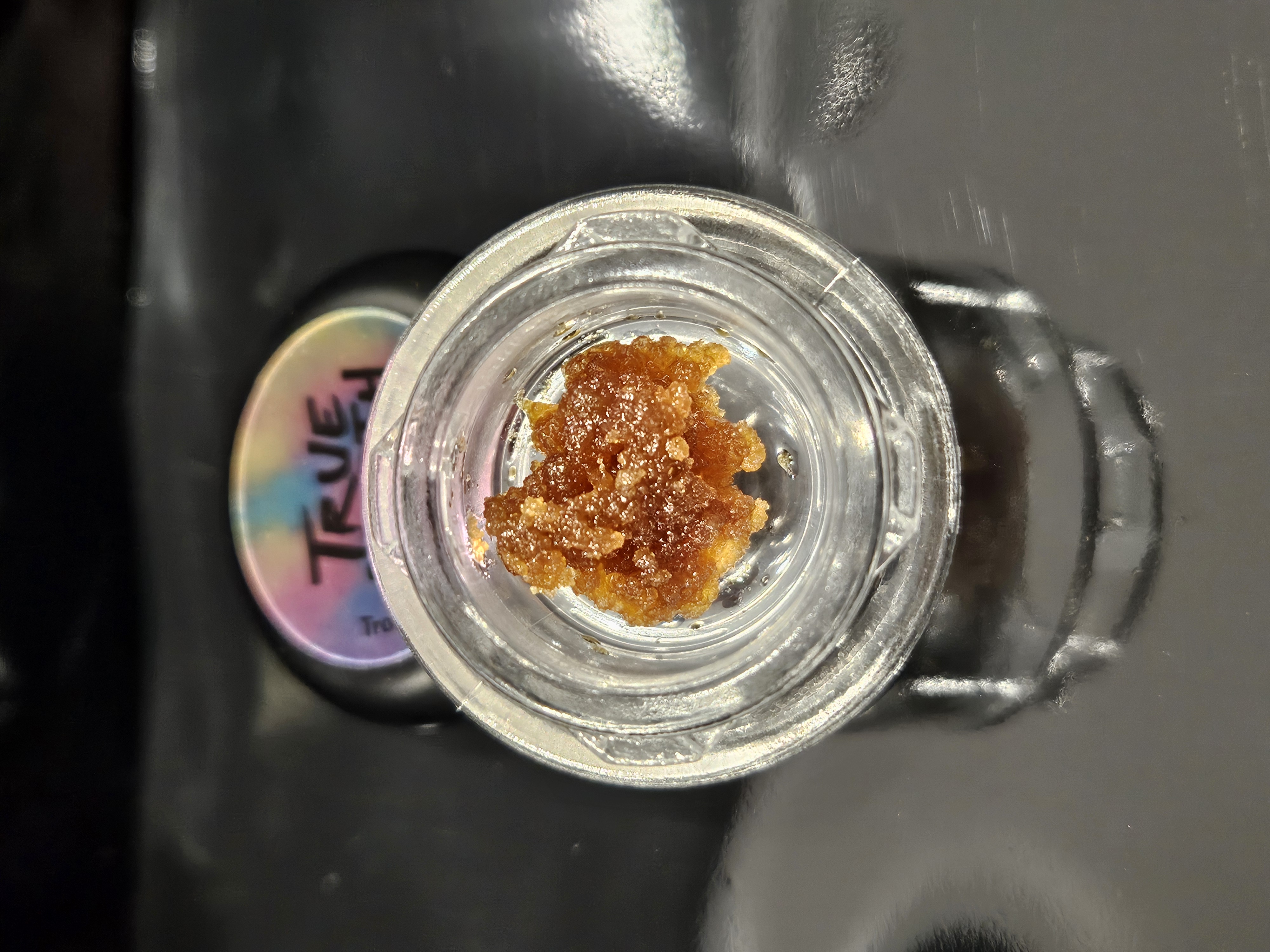 True North Concentrates Tropic'Ozz