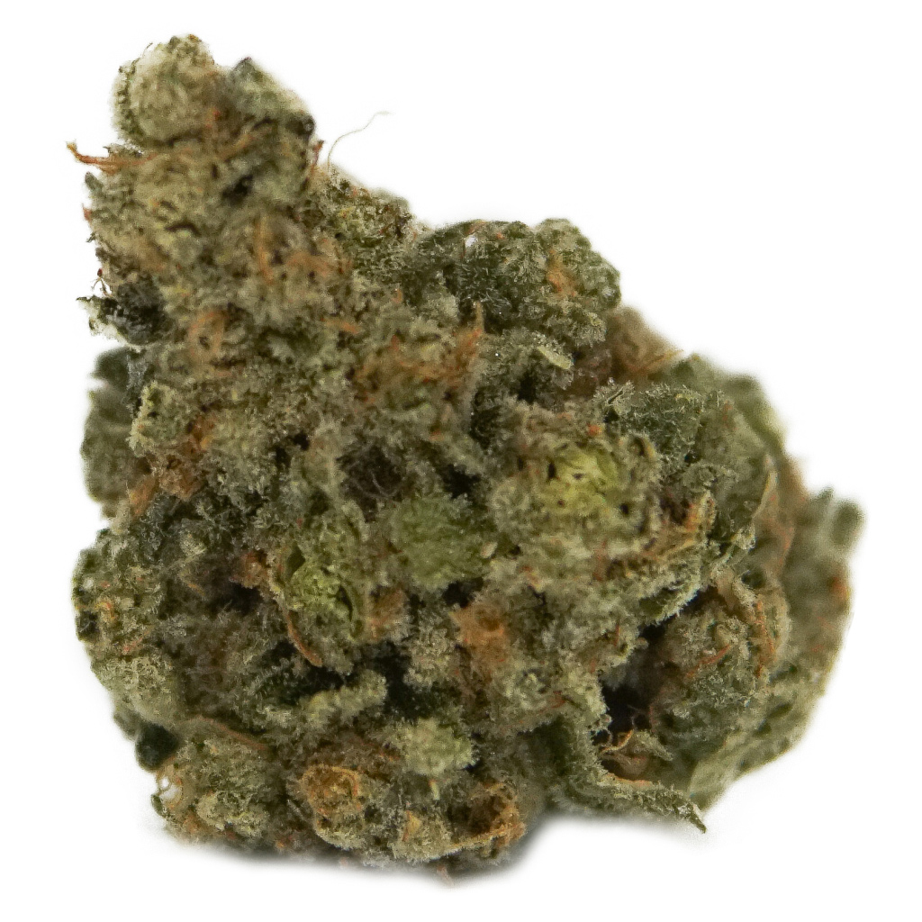 The Loud Plug - Exotic Gas - 28g