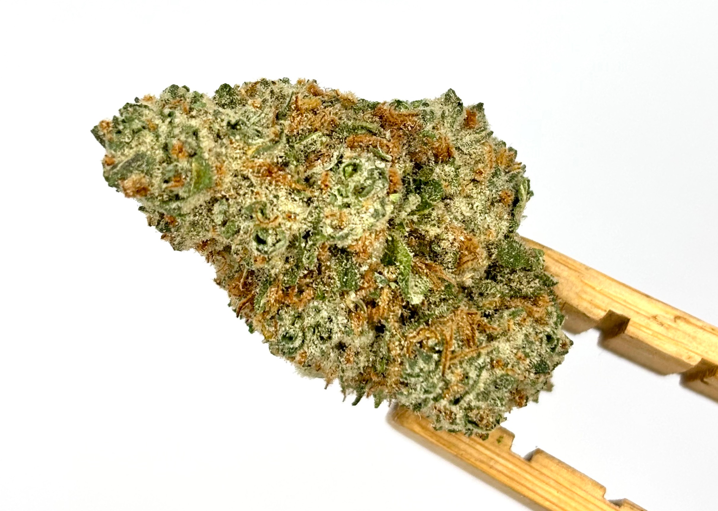 Devil Apple Bulk Flower