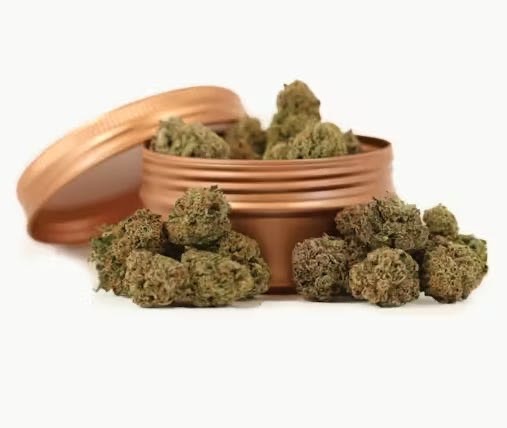 L Exotic Tangie Biscotti