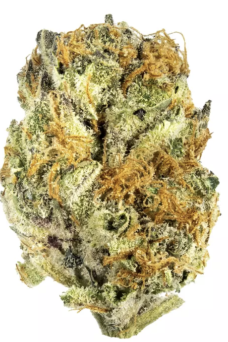Mandarin Z |  Small Buds |  14G
