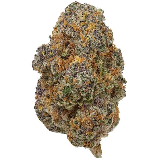 Prepacked Top Shelf 1/2oz - (Dark Rainbow)