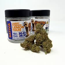 Larry O Brien Lemon Haze