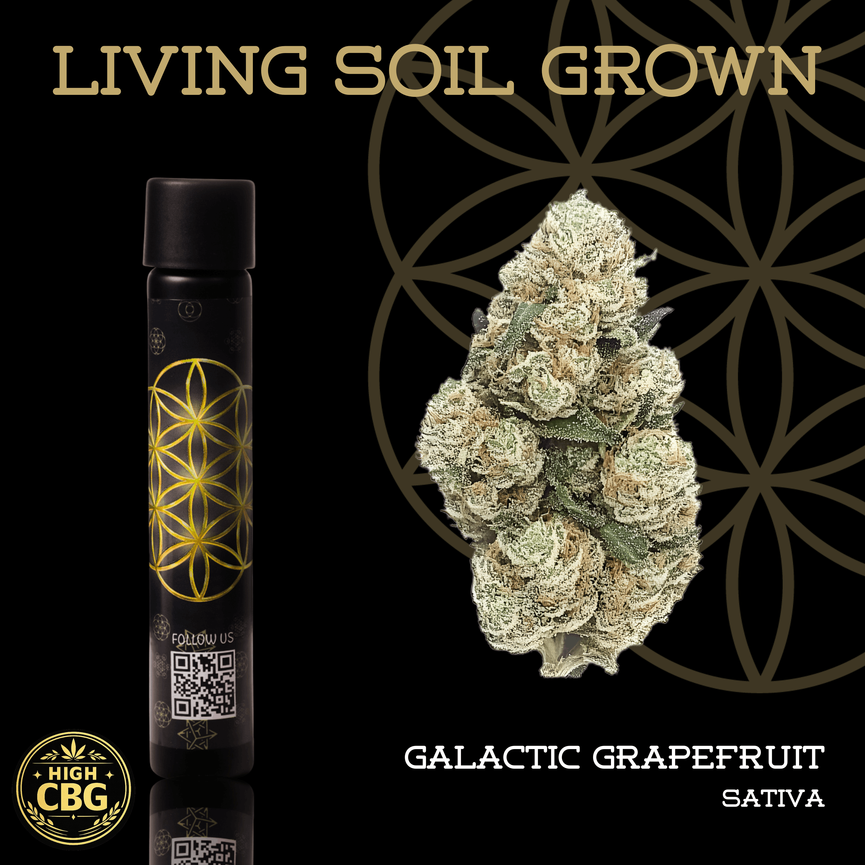 Galactic Grapefruit Living Soil