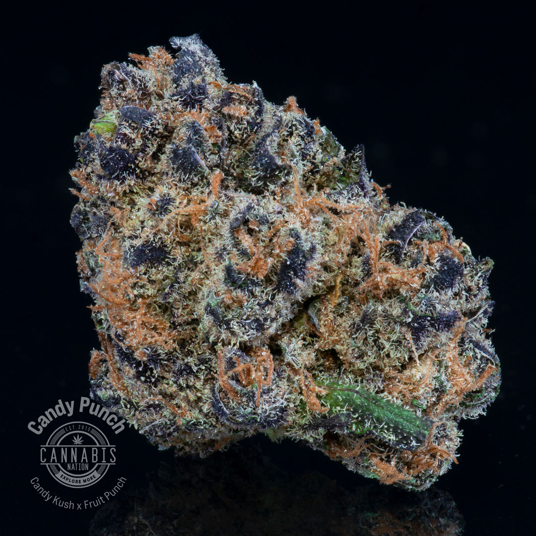 Flower | Candy Punch