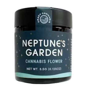Neptune's Garden - Black Cherry Punch - 3. Flower