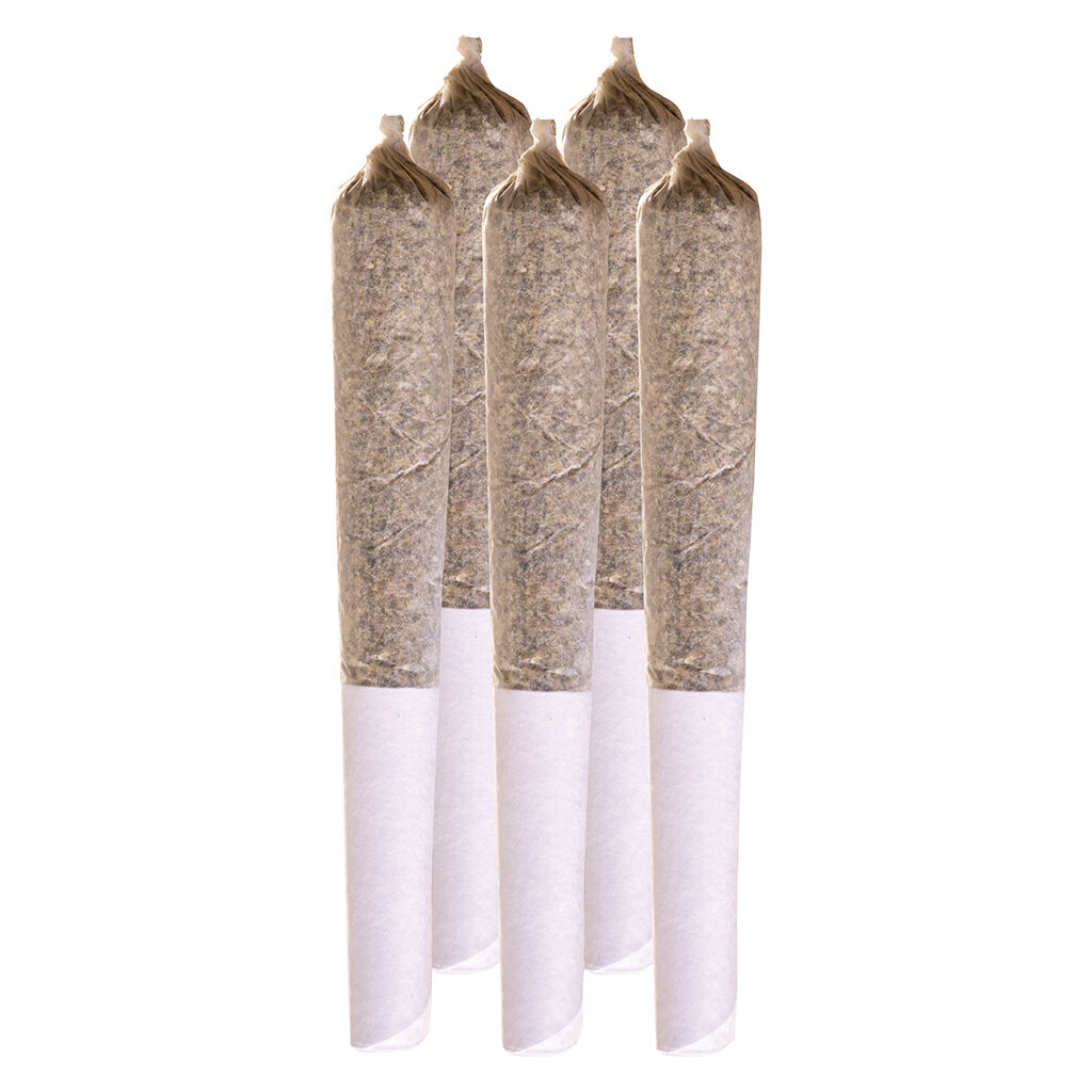 Station House - Amnesia Haze Pre-Rolls - 10x0.5g