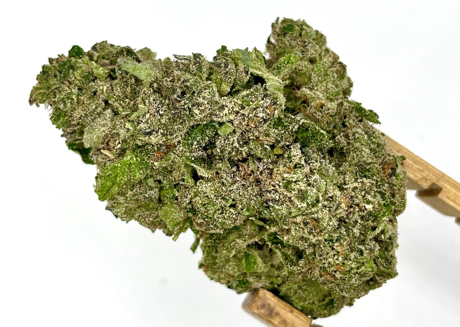 RedFox Cannabis | Double R Sherbs | Bulk Flower