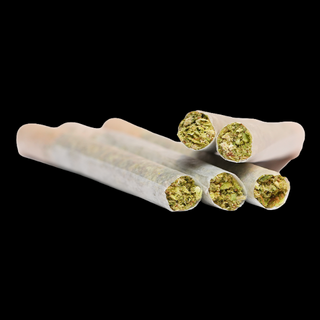 パンチ　白蓮花錦 13 + ラブハート錦 Cannabis Flower | Planet 13 DeLand