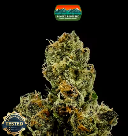 RuggedRoots - Galactic Warheadz - 1g - H