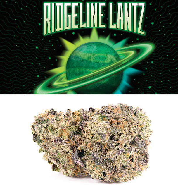 Ridgeline Lantz - Flower