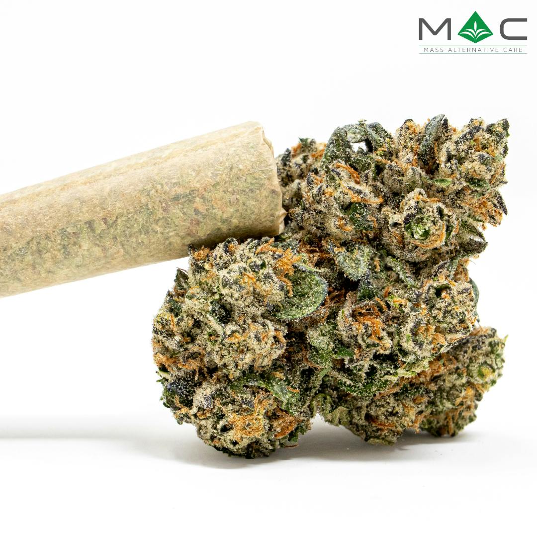 Cartoons & Cereal | Pre Rolls | 1g