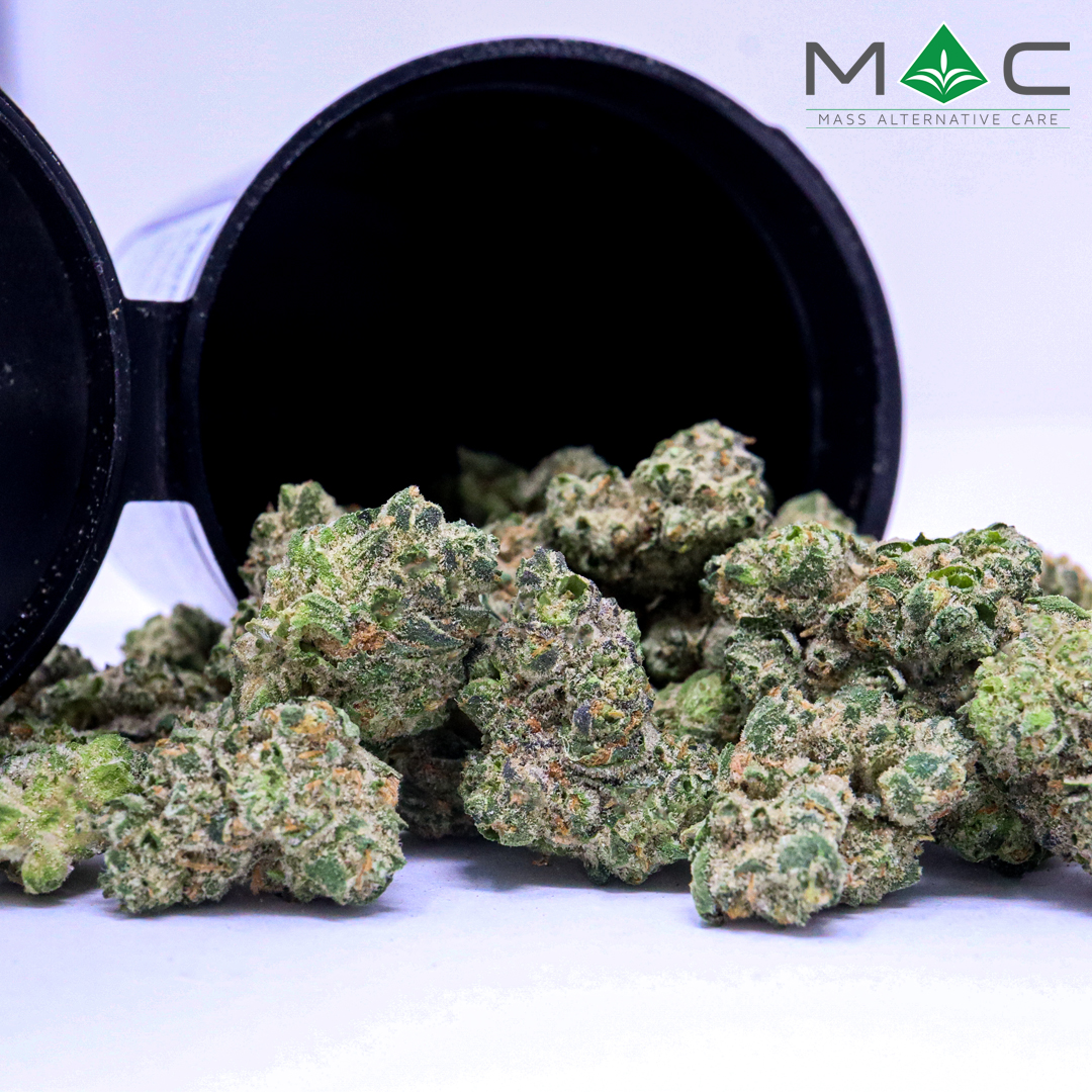 Zombie (I) Small Buds | Flower | 7g