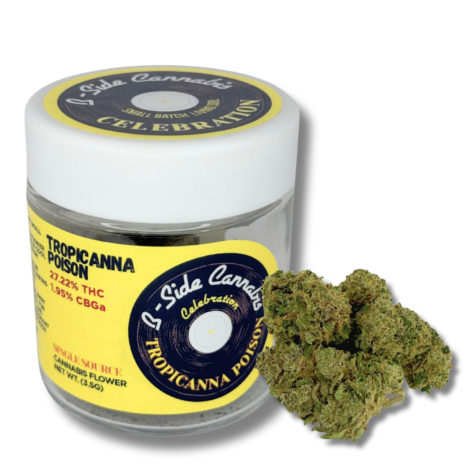 Packed Flower-Tropicanna Poison