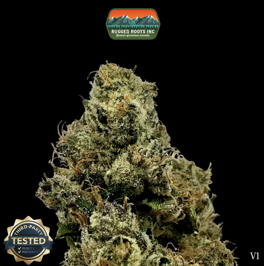 RuggedRoots - Log Cabin - 1g - H