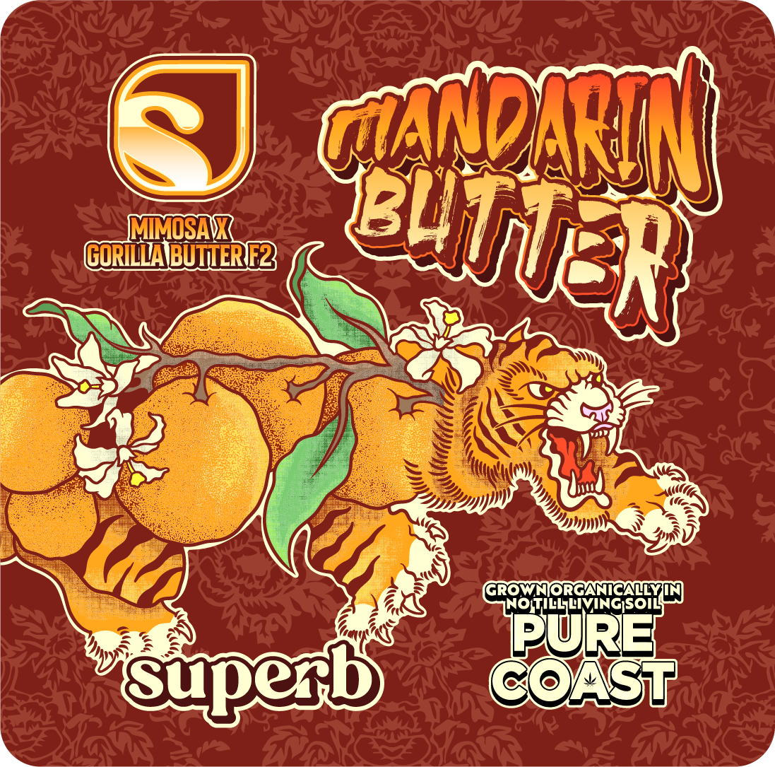 Superb | Mandarin Butter | Live Rosin AIO