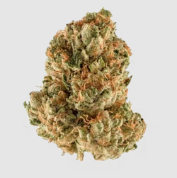 Bermuda Triangle - 3.5g