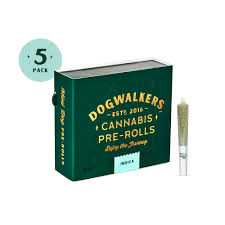 Runtz Stay 5pk Pre-Rolls 1.75g