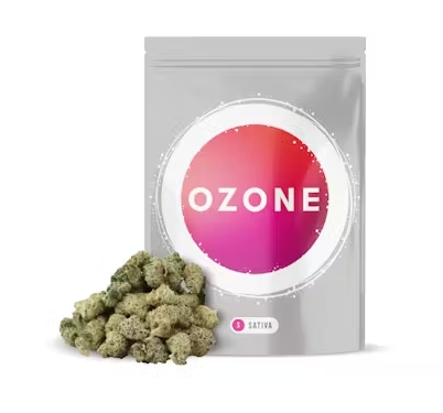 Sour Orange | 7g Popcorn