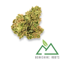 Berkshire Roots | Orange Chemeleon | 28g