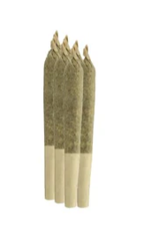 Sheeesh! Trop Juice Pre Rolls