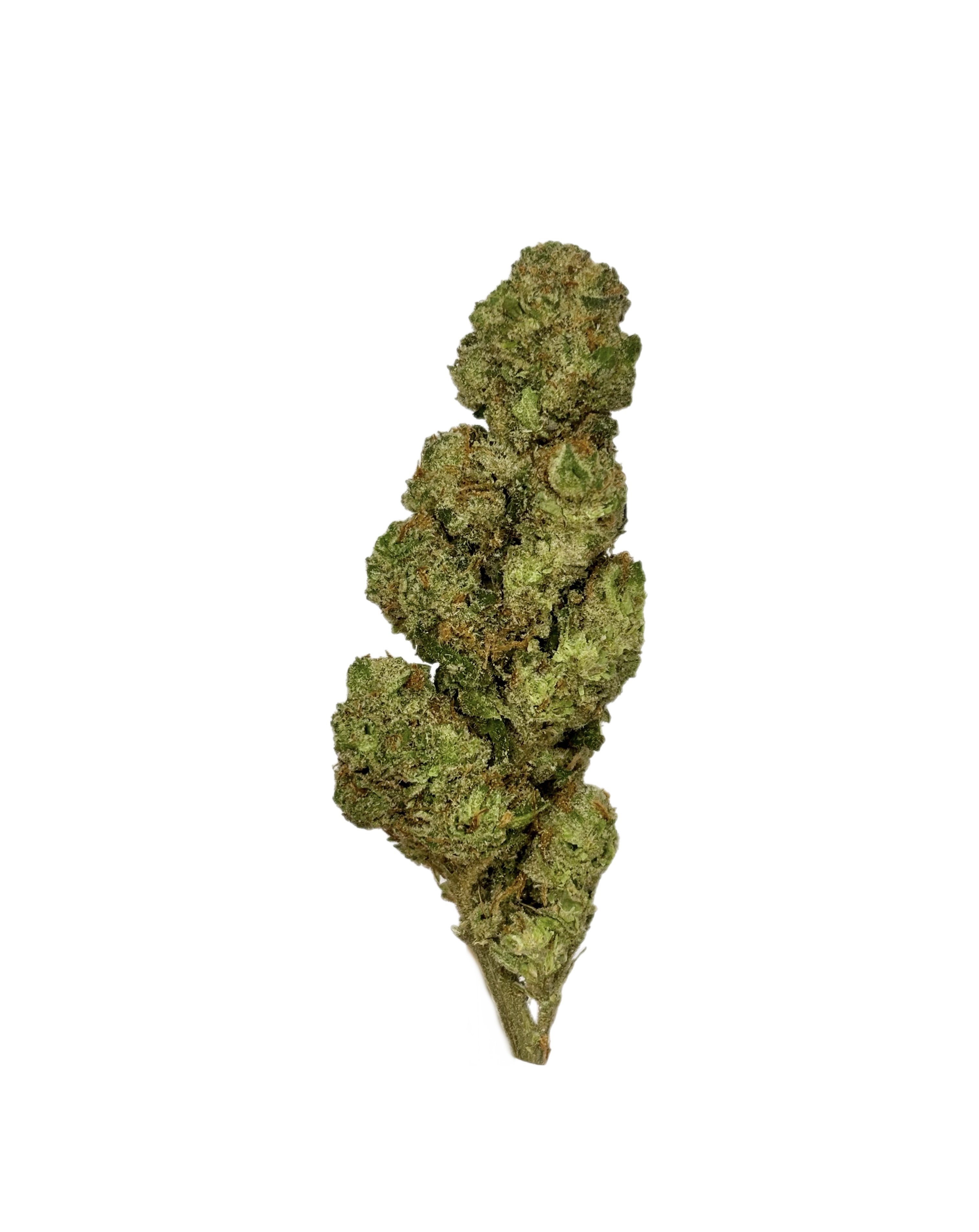 Apple Runtz | Bulk Flower | White Tier