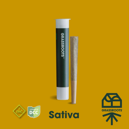 Peanut Butter Muffin 1g Preroll Sativa