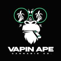 Vapin Ape Grapefruit Durban POD-Pack Refill 3g