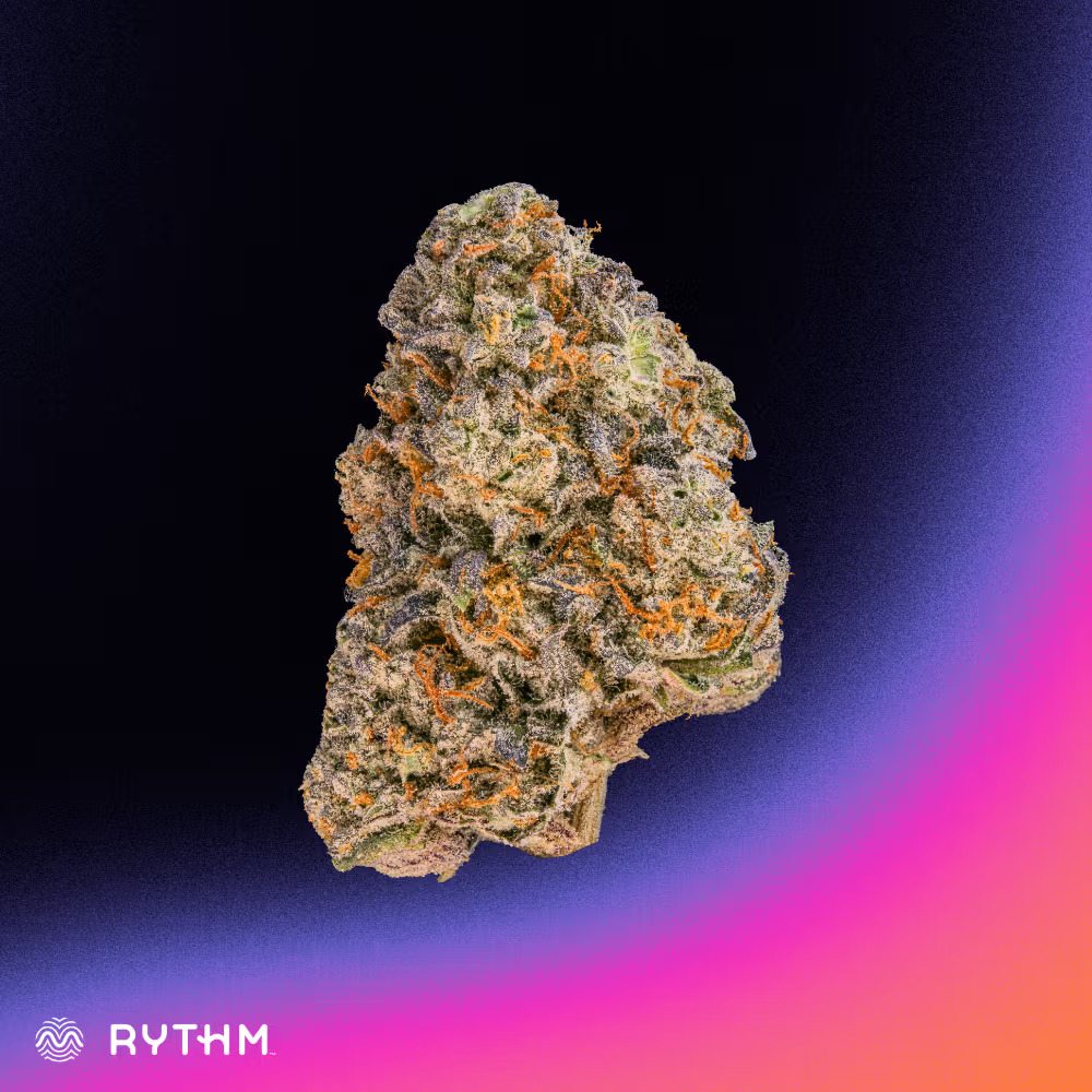 Rythm | Velcroz