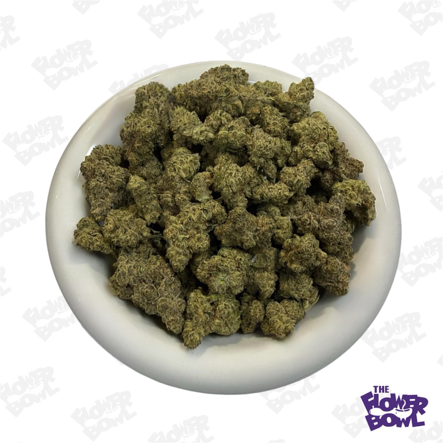 (WW) Panda: Captain Caveman (H) Deli